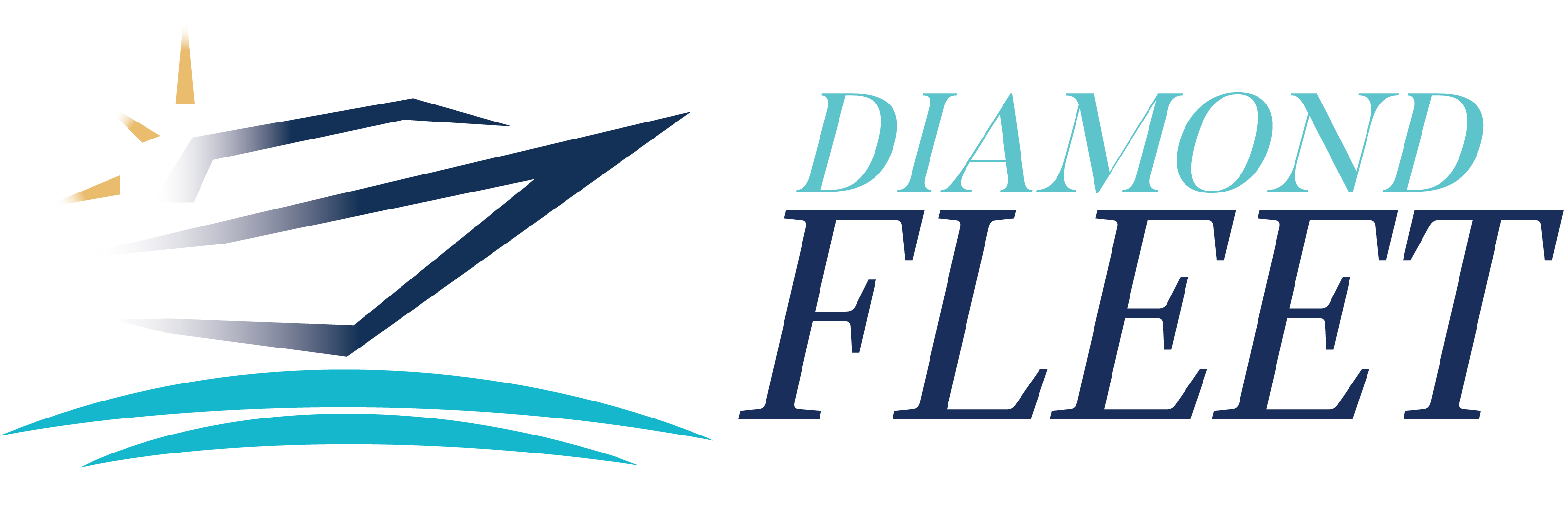 Logo Diamondfleet